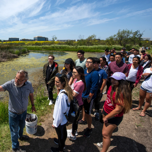 Undergraduate Research Opportunities Program